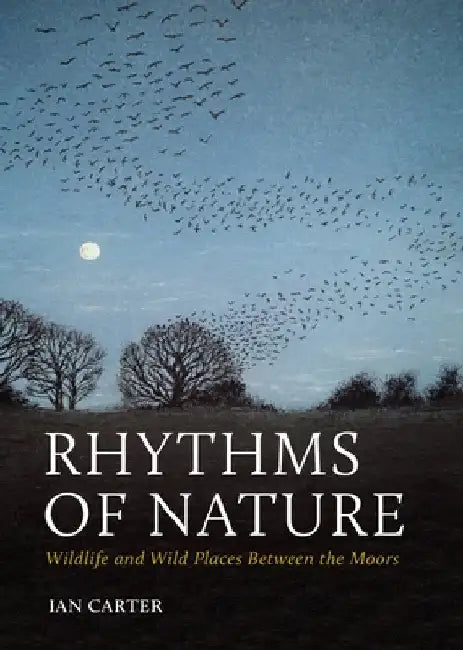 Rhythms of Nature: Wildlife and Wild Places Between the Moors by Ian Carter