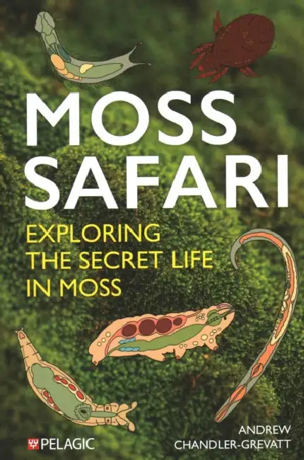 Moss Safari: Exploring the Secret Life in Moss by Andrew Chandler-Grevatt