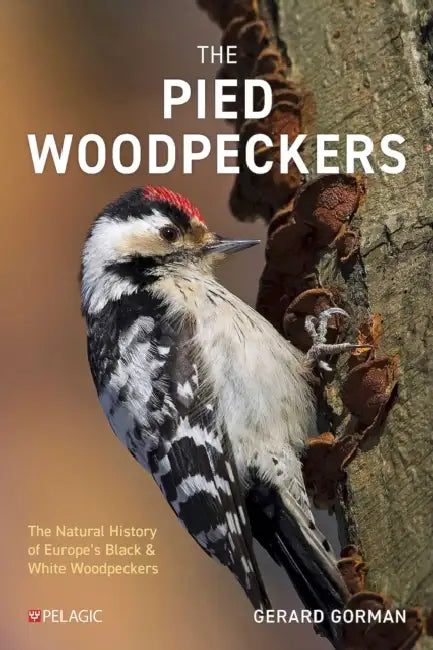 The Pied Woodpeckers: The Natural History of Europe's Black & White Woodpeckers by Gerard Gorman