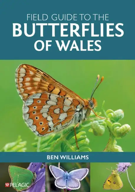 Field Guide to the Butterflies of Wales by Ben Williams