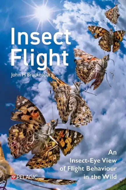 Insect Flight by John H. Brackenbury