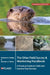 The Otter Field Survey and Monitoring Handbook: A Practical Guide to Field and Camera-Trap Surveys by Melanie Findlay, Patrick White