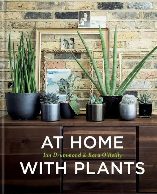 At Home with Plants by Ian Drummond