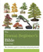 The Bonsai Beginner's Bible by Peter Chan
