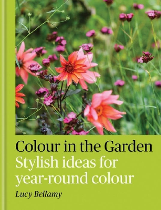 Colour in the Garden by Lucy Bellamy