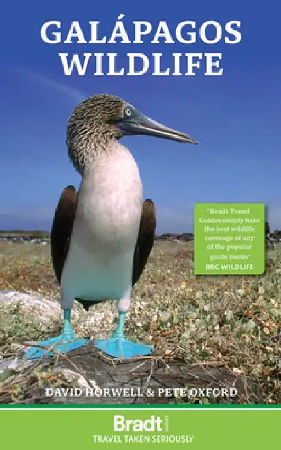 Galapagos Wildlife by David Horwell