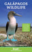 Galapagos Wildlife by David Horwell