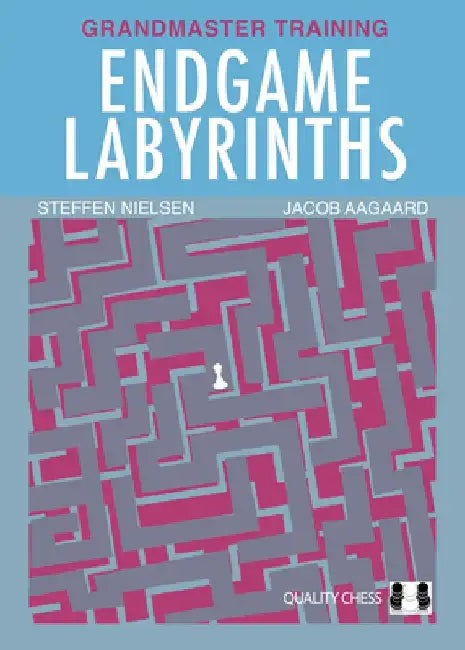 Endgame Labyrinths by Jacob Aagaard