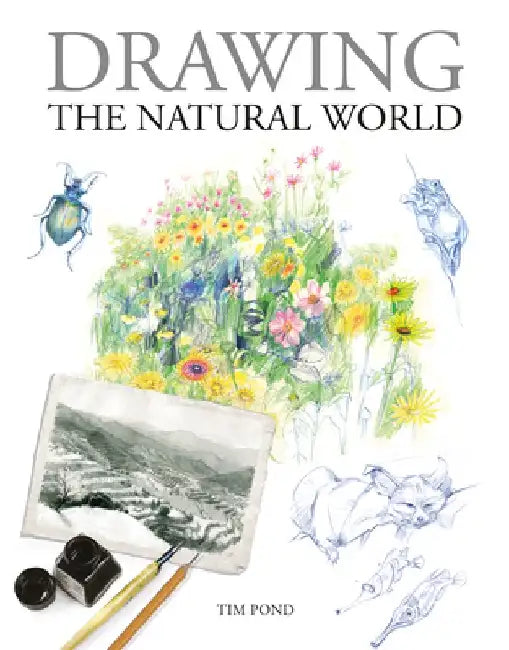 Sketching Nature by Rosemary Drysdale