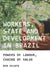 Workers, State and Development in Brazil: Powers of Labour, Chains of Value by Benjamin Selwyn
