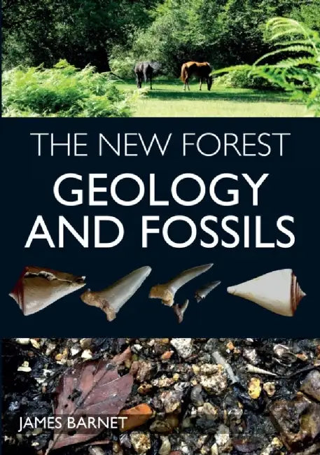 The New Forest: Geology and Fossils by James Barnet