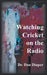 Watching Cricket on the Radio by Dan Diaper