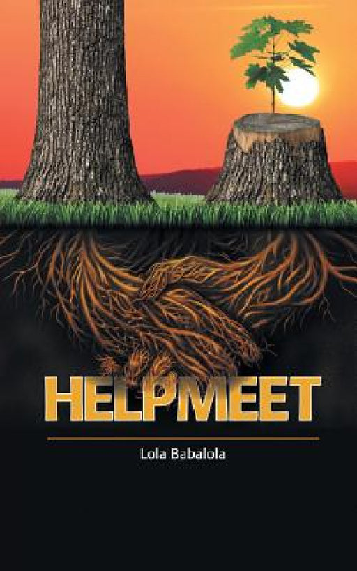 Helpmeet by Lola Babalola