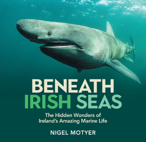 Beneath Irish Seas: The Hidden Wonders of Ireland's Amazing Marine Life by Nigel Motyer