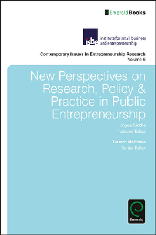 New Perspectives on Research, Policy & Practice in Public Entrepreneurship by Gerard McElwee, Joyce Liddle