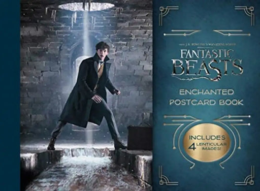 Harry Potter and the Goblet of Fire Postcard Book by Titan Books