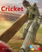 Cricket by Jill Atkins