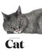 The Book of the Cat: Cats in Art by Angus Hyland