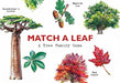 Match a Leaf by Tony Kirkham