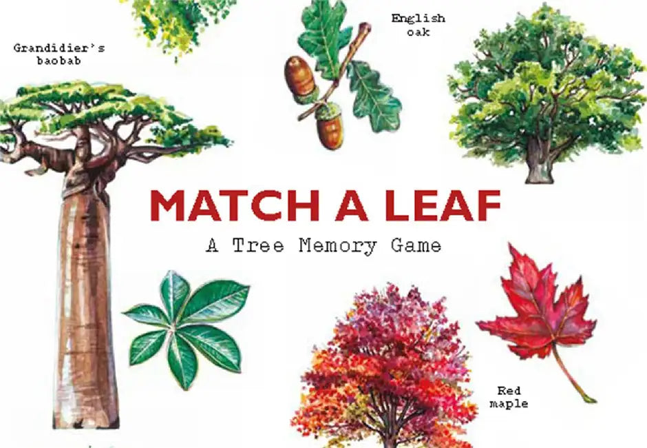 Match a Leaf by Tony Kirkham