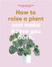 How to Raise a Plant by Morgan Doane