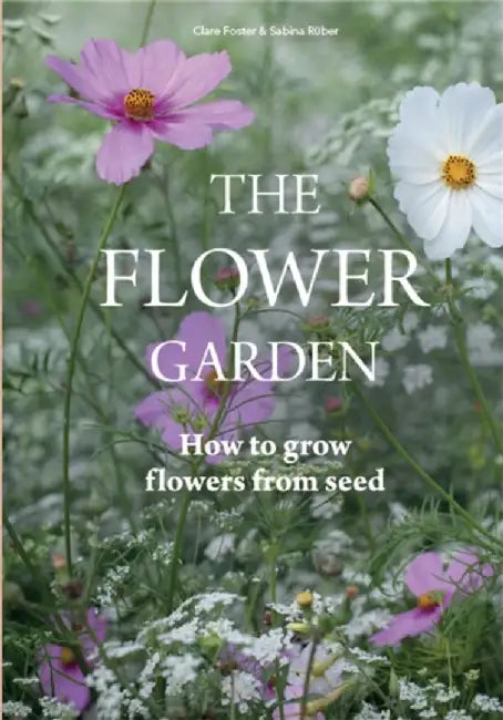 Flower Garden by Clare Foster