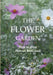 Flower Garden by Clare Foster