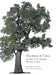 The Story of Trees: And How They Changed the World by Kevin Hobbs
