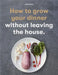 How to Grow Your Dinner by Claire Ratinon