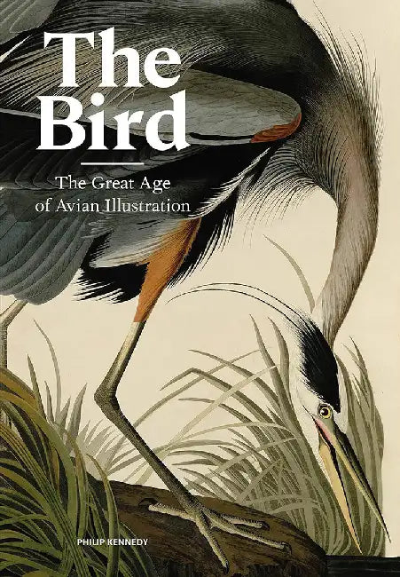 The Bird: Ornithological Art from the Age of Exploration by Philip Kennedy