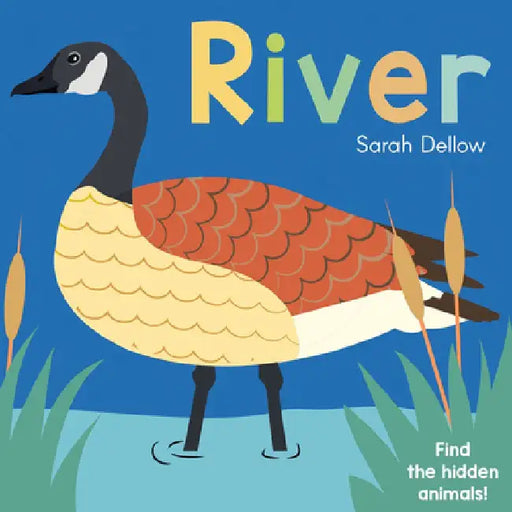 Now You See It! in the River by Sarah Dellow