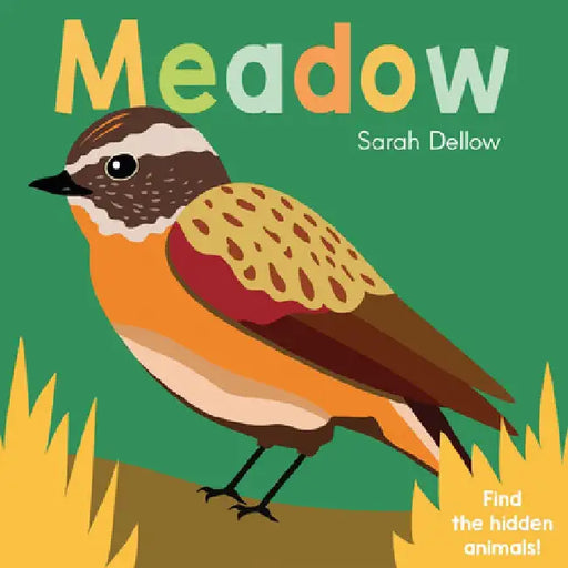 Now You See It! in the Meadow by Sarah Dellow