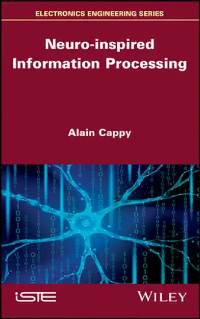 Neuro-Inspired Information Processing by Alain Cappy