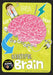Beautiful Brain by Charlie Ogden