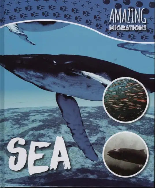Sea by Harriet Brundle