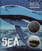 Sea by Harriet Brundle