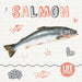 Salmon by Holly Duhig