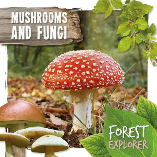 Mushrooms & Fungi by Robin Twiddy