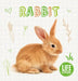 Rabbit by Shalini Vallepur