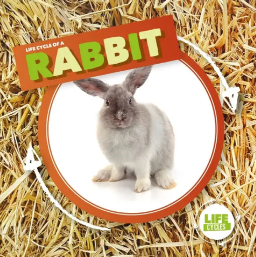 Rabbit by Kirsty Holmes