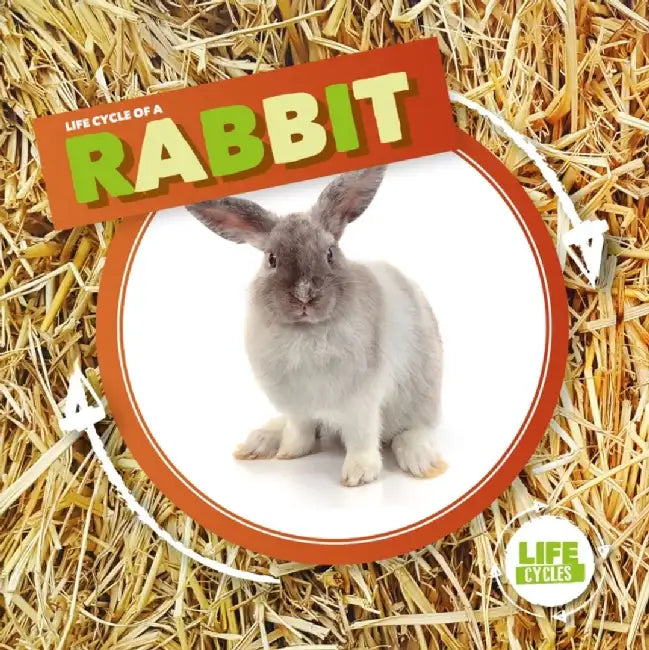 Rabbit by Kirsty Holmes