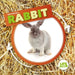 Rabbit by Kirsty Holmes