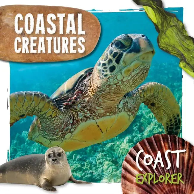 Coastal Creatures by Robin Twiddy