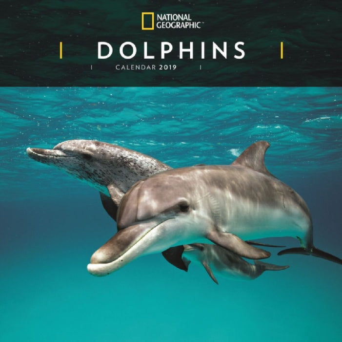 Dolphins Nat Geo W 2019  by Wade, Herbert Treadwell