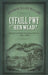 Cyfaill Pwy o'r Hen Wlad?: Gwasg Gyfnodol Gymraeg America 1838-66 by Rhiannon Heledd Williams