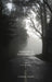 Violence in Everyday Life: Power, Gender, and Sexuality by Aliraza Javaid