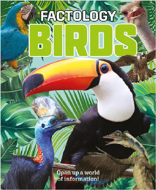 Factology: Birds: Open Up a World of Information! by Not Available