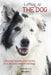 Letting in the Dog: Opening Hearts and Minds to a Deeper Understanding by Patricia Blocker