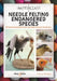 A Masterclass in Needle Felting Endangered Species: Methods and Techniques to Take Your Needle Felting to the Next Level by Cindy-Lou Thompson