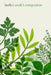Herb: A Cook's Companion by Mark Diacono